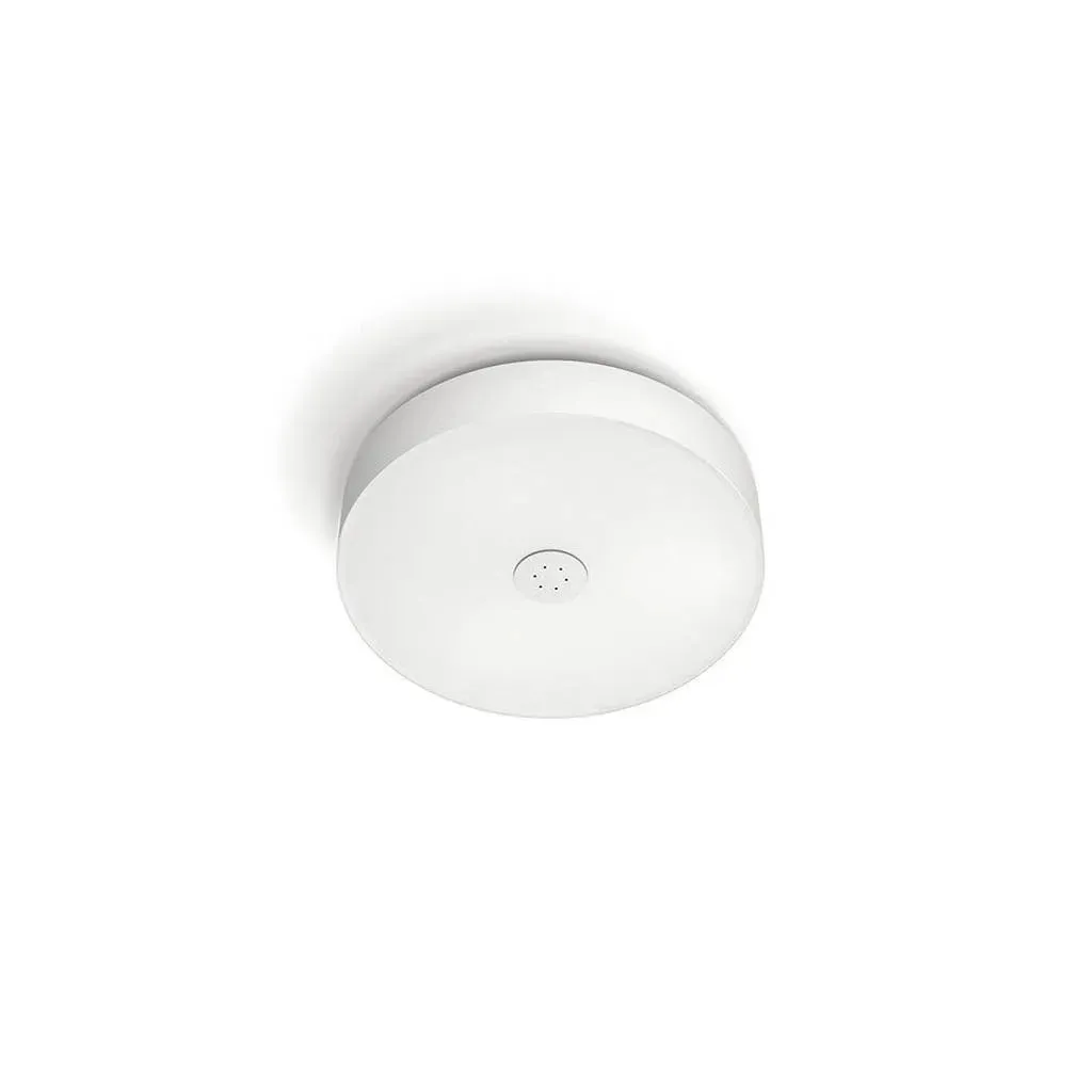 Hue White Ambiance Fair Ceiling Light by Philips (40340)