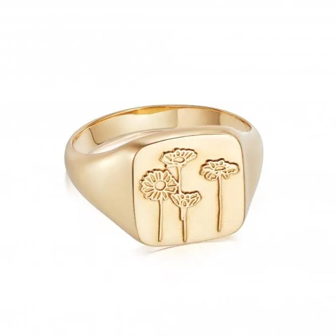 Wild Daisies Signet 18ct Gold Plated Ring FR08_GP